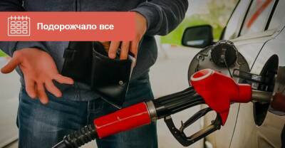 Украинские АЗС снова подняли цены на топливо. Что почем? - auto.ria.com - Украина