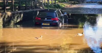 Видео: водители топят автомобили в глубокой луже на полной скорости - motor.ru