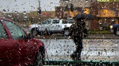 В полиции рассказали, как нужно ездить по мокрой дороге - auto.24tv.ua - Киевская обл.