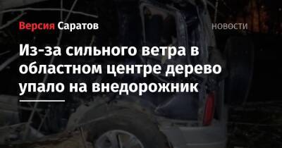 Из-за сильного ветра в областном центре дерево упало на внедорожник - nversia.ru - Саратов