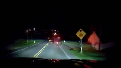 Видео: невероятный дрифт конного экипажа с искрами из-под колес - auto.24tv.ua - Сша - штат Пенсильвания - Балтимор