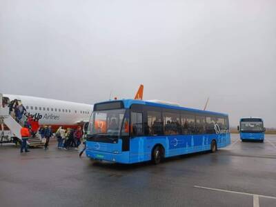 В Запорожье появились интересные «посольские» автобусы - autocentre.ua - Запорожье