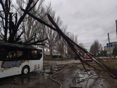 В Таганроге дерево упало на автобус с пассажирами - dontr.ru - Россия - Ростовская обл.