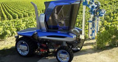 Pininfarina разработала трактор будущего для виноградников - motor.ru