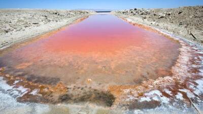 В США обнаружили озеро с огромными залежами лития, которого хватит на всю страну - auto.24tv.ua - Сша - штат Калифорния - штат Колорадо