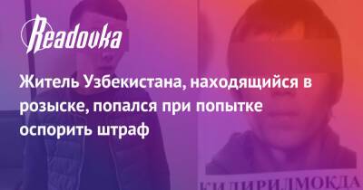 Житель Узбекистана, находящийся в розыске, попался при попытке оспорить штраф - readovka.ru - Узбекистан