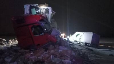 Mercedes Benz - В ДТП в Курганской области погиб человек - usedcars.ru - Курганская обл.