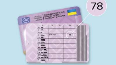 Новые водительские удостоверения с 29 декабря: что в них изменилось - auto.24tv.ua - Украина - Донецкая обл.