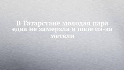 В Татарстане молодая пара едва не замерзла в поле из-за метели - chelny-izvest.ru - Россия - республика Татарстан