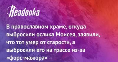 В православном храме, откуда выбросили ослика Моисея, заявили, что тот умер от старости, а выбросили его на трассе из-за «форс-мажора» - readovka.ru
