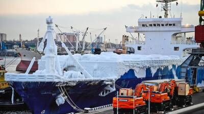 Видео: во Владивосток прибыло судно с обледеневшими иномарками - motor.ru - Россия - Япония - Владивосток - Панама - Владивосток