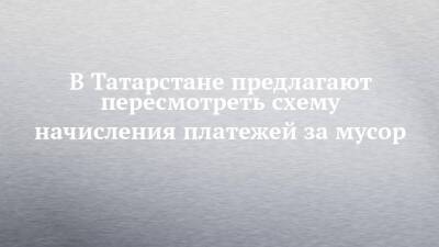 В Татарстане предлагают пересмотреть схему начисления платежей за мусор - chelny-izvest.ru - республика Татарстан