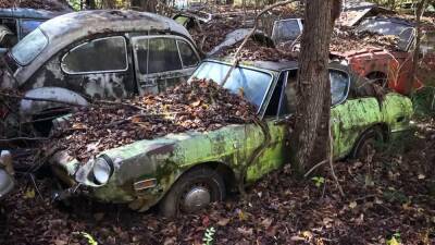 В лесу обнаружили гигантское кладбище классических автомобилей - motor.ru - Сша