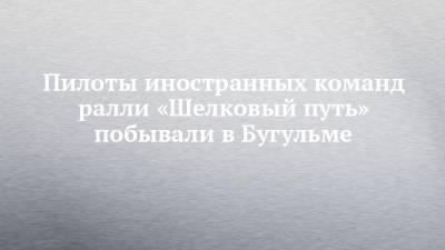 Пилоты иностранных команд ралли «Шелковый путь» побывали в Бугульме - chelny-izvest.ru - республика Татарстан