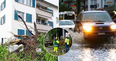 Цюрих накрыл мощный ливень, ураганный ветер крушил деревья и авто. Фото и видео - obozrevatel.com - Швейцария