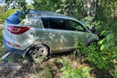 В Моршанском районе автомобиль врезался в дерево: пострадали женщина и ребёнок - tambov.mk.ru - Тамбов