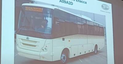 Украинский ЗАЗ будет серийно выпускать автобусы под маркой Mercedes - delo.ua - Украина