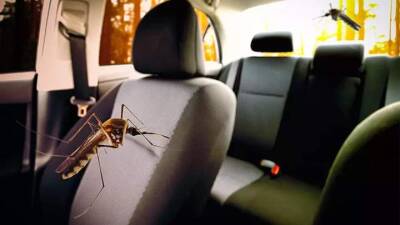 Китайцы придумали систему, которая будет выпроваживать комаров из салона авто - auto.24tv.ua - Китай