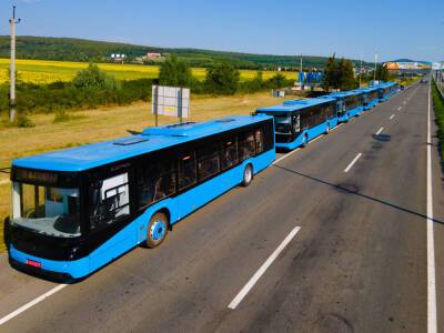 Ужгород закупит 10 отечественных электробусов - autocentre.ua - Ужгород
