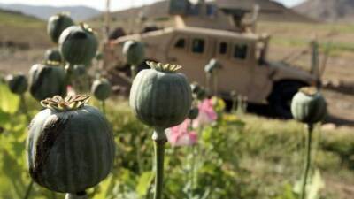 Американская армия оставила Талибану тысячи военных машин в Афганистане - auto.24tv.ua - Сша - Афганистан - Кабул