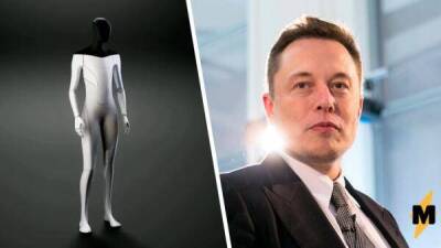 Илон Маск - Илон Маск сделает Tesla Bot медленным и добрым. Во время бунта хозяин убежит или попросит пощады - skuke.net - Россия