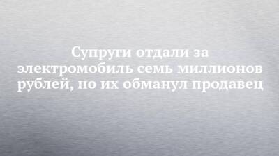 Супруги отдали за электромобиль семь миллионов рублей, но их обманул продавец - chelny-izvest.ru - Москва - Набережные Челны - Ташкент - Мензелинск