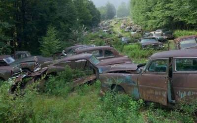 В поле обнаружили около тысячи брошенных автомобилей - autocentre.ua - Сша - штат Нью-Йорк