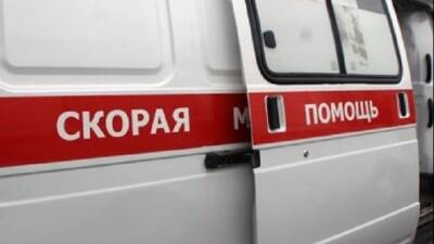 Грузовик сбил двух малолетних детей в Ленобласти - usedcars.ru - Санкт-Петербург - Ленобласть - район Всеволожский