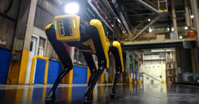Робот Spot от Boston Dynamics начал работать на заводе Kia - motor.ru - Южная Корея - Boston