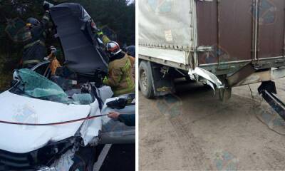 Водитель из Карелии погиб на трассе в Ленобласти: его автомобиль влетел в грузовик - gubdaily.ru - республика Карелия - Ленобласть