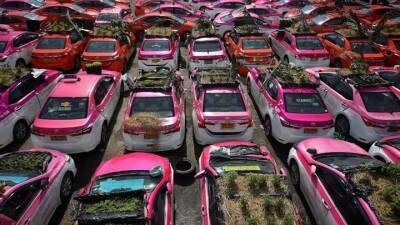 Таксомоторная компания выращивает овощи на крышах машин, которые простаивают в автопарке без дела - auto.24tv.ua - Сша - Таиланд - Бангкок