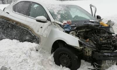 Стало известно, кто пострадал в аварии с двумя фурами на трассе в Карелии - gubdaily.ru - республика Карелия