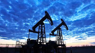 Цены на нефть 13 января снижаются в рамках коррекции после роста в среднем на 5% за два дня - bin.ua - Украина - Сша - Казахстан