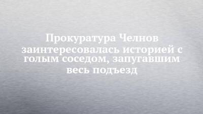 Прокуратура Челнов заинтересовалась историей с голым соседом, запугавшим весь подъезд - chelny-izvest.ru - Набережные Челны - Гэс