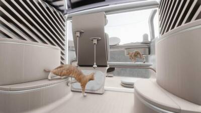 Дизайнер создал идеальный автомобиль для любителей домашних животных: видео - auto.24tv.ua - Южная Корея