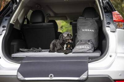 Nissan выпустил набор аксессуаров для владельцев домашних животных - auto.24tv.ua - Австралия