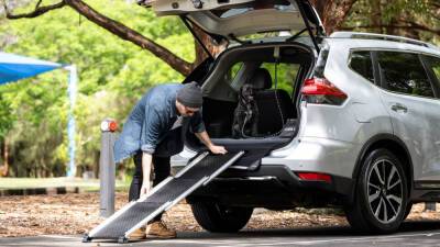 Nissan представил фирменные аксессуары для путешествий с собаками - autonews.autoua.net - Сша - Австралия