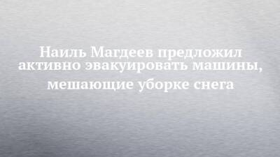 Наиль Магдеев - Наиль Магдеев предложил активно эвакуировать машины, мешающие уборке снега - chelny-izvest.ru - Набережные Челны