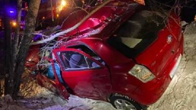 Под Миассом автомобиль врезался в дерево – водитель погиб - usedcars.ru