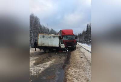 Страшное ДТП в Тверской области: один человек погиб, один в тяжелом состоянии - afanasy.biz - Тверь - Тверская обл. - район Удомельский