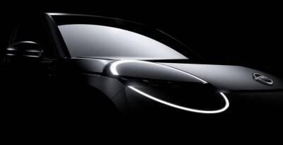 Ашвани Гупта - Компания Nissan анонсировала новый компактный электромобиль для рынка Европы - avtonovostidnya.ru