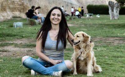 «Бродячая история» о защитниках брошенных собак - vkcyprus.com - Кипр - Нью-Йорк