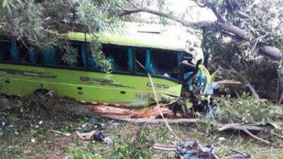 В ДТП с автобусом в Колумбии погибли 20 человек - usedcars.ru - Колумбия