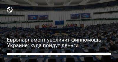 Европарламент увеличит финпомощь Украине: куда пойдут деньги - biz.liga.net - Украина - Евросоюз