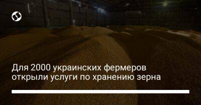 Для 2000 украинских фермеров открыли услуги по хранению зерна - biz.liga.net - Украина - Сша - Львовская обл.