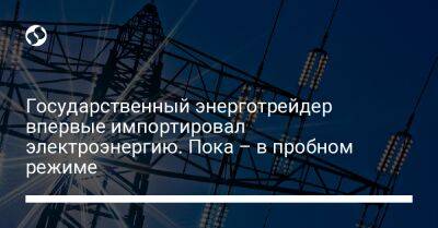 Виталий Бутенко - Государственный энерготрейдер впервые импортировал электроэнергию. Пока – в пробном режиме - biz.liga.net - Украина - Россия - Словакия