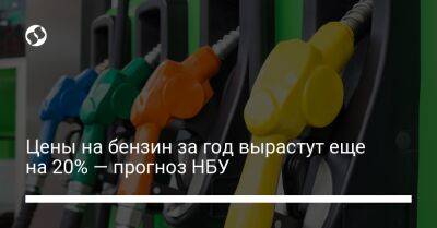 Цены на бензин за год вырастут еще на 20% — прогноз НБУ - biz.liga.net - Украина - Россия