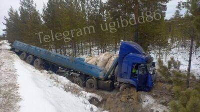 В Югре в ДТП с грузовиком погиб человек - usedcars.ru - округ Югра