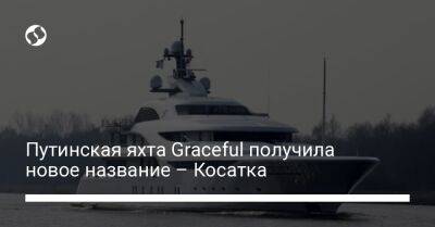 Путинская яхта Graceful получила новое название – Косатка - biz.liga.net - Россия - Санкт-Петербург - Сочи - Италия - Калининград - Эстония - Геленджик - Гамбург
