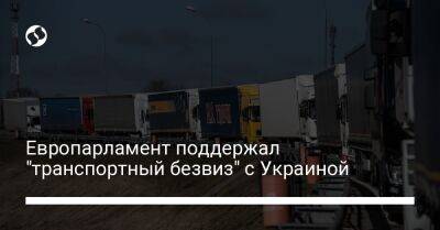 Европарламент поддержал "транспортный безвиз" с Украиной - biz.liga.net - Украина - Евросоюз - Молдавия